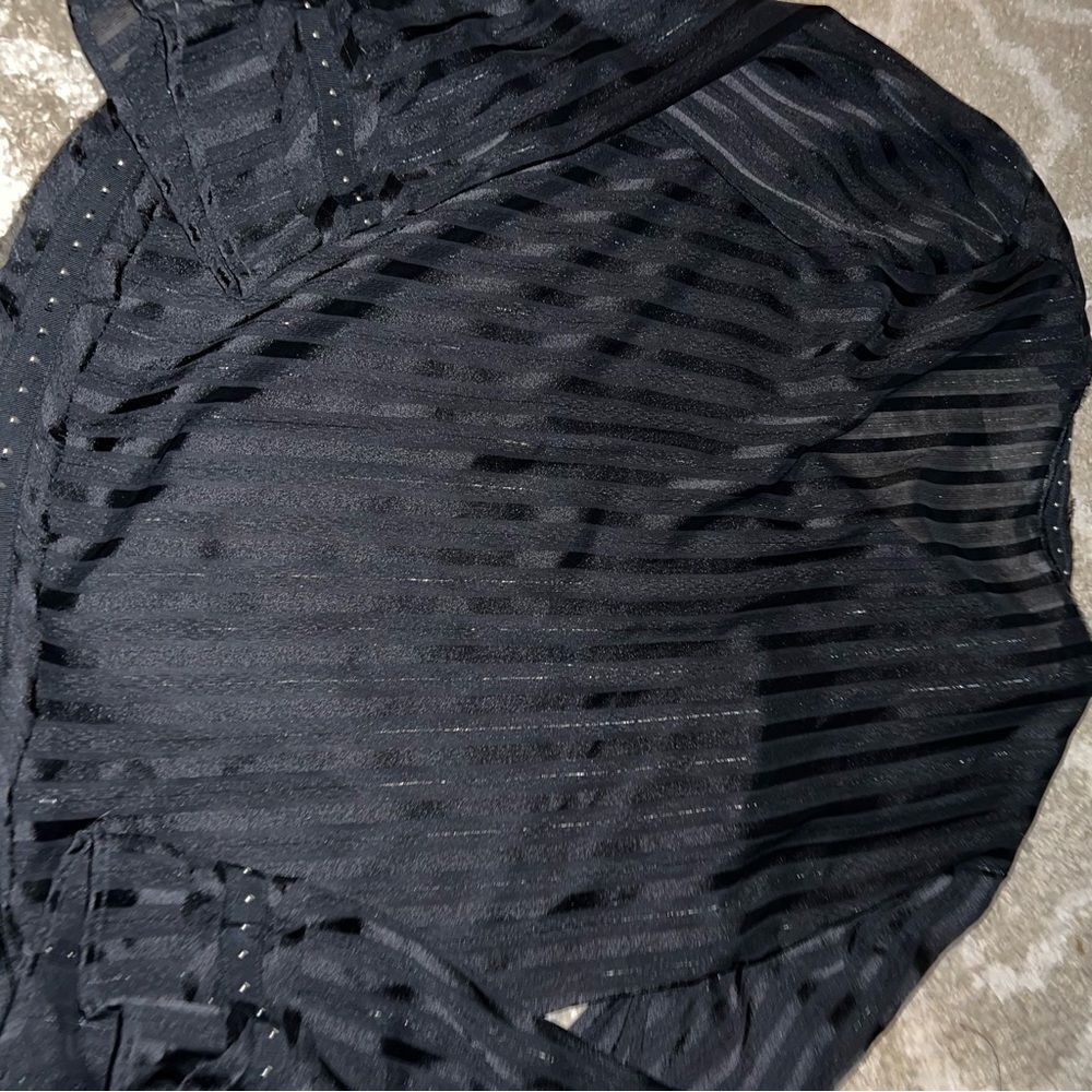Zara Chic Black Sheer Blouse